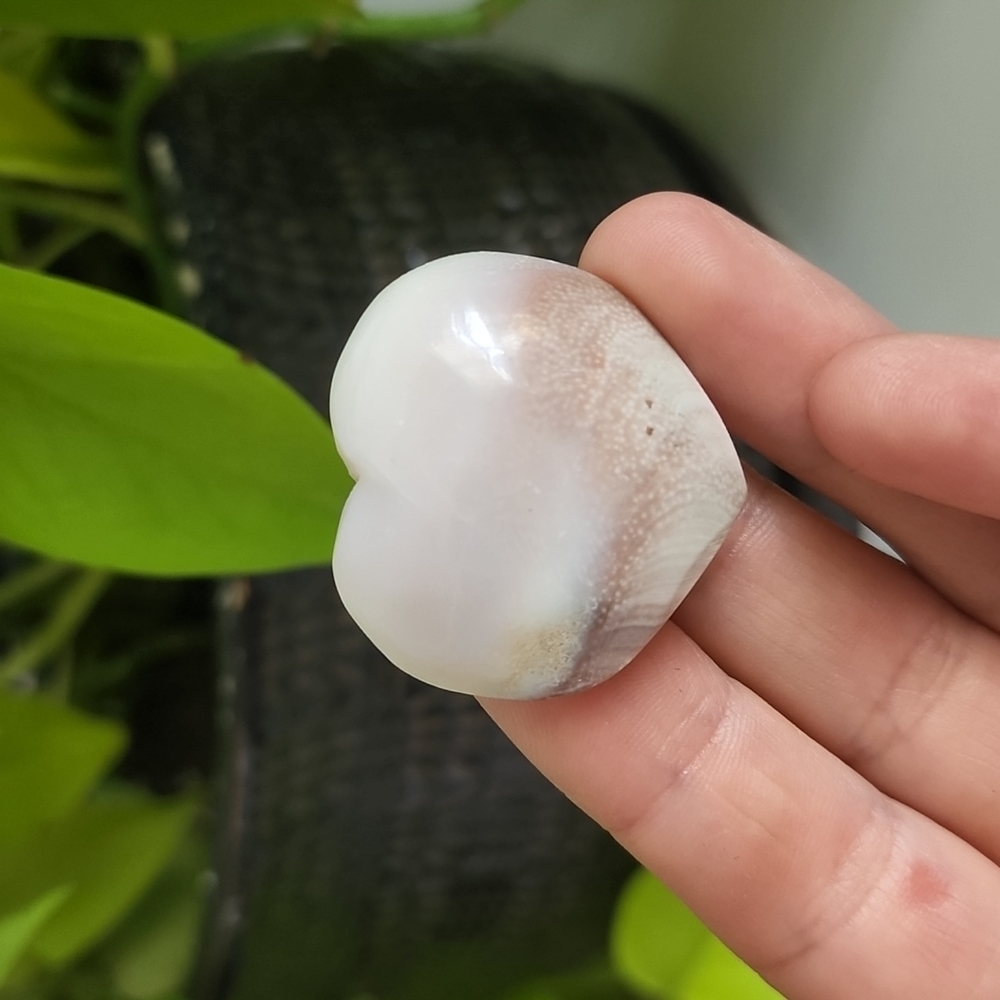 Sun Shell Crystal Heart